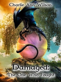 Damaged: The One Who Fought - Damaged, #1