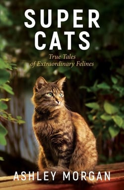 Super Cats - Inspirational True Stories of Real-Life Cat Heroes That Will Melt Your Heart