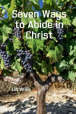 Seven Ways to Abide in Christ