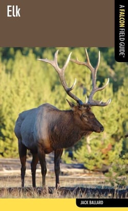 Elk - A Falcon Field Guide