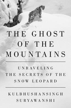 The Ghost of the Mountains - Unraveling the Secrets of the Snow Leopard