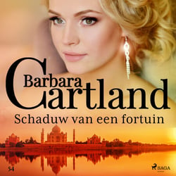 Schaduw van een fortuin