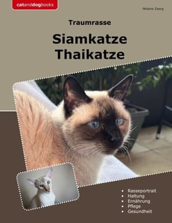 Traumrasse Siamkatze - Thaikatze