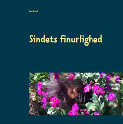Sindets finurlighed - En lille roman, der gør det lettere for læseuvante unge og voksne at komme i gang med at læse.