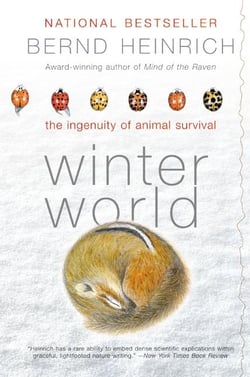 Winter World - The Ingenuity of Animal Survival