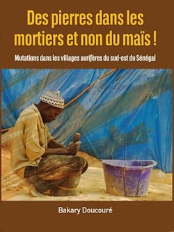 Des pierres dans les mortiers et non du maïs ! - Mutations dans les villages aurifères du sud-est du Sénégal