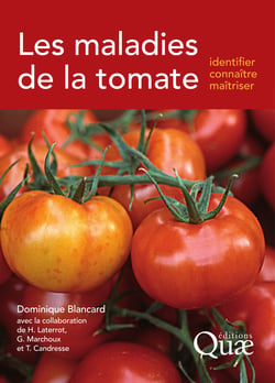 Les maladies de la tomate - Identifier, connaître, maîtriser