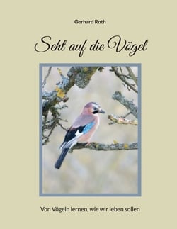 Seht auf die Vögel - Von Vögeln lernen, wie wir leben sollen