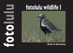 fotolulu wildlife I - Birds of Germany