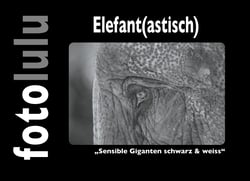 Elefant(astisch) - "Sensible Giganten schwarz &amp; weiss"