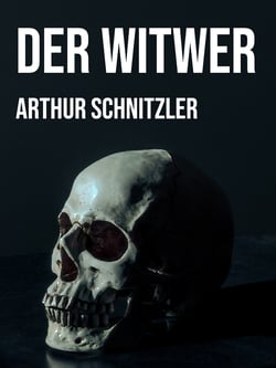 Der Witwer - Eine Novelle