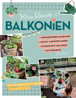 Mein kleines Balkonien - So wird der Balkon zu deiner Wohlfühl-Oase