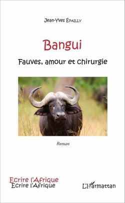 Bangui - Fauves, amour et chirurgie - Roman