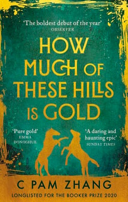 How Much of These Hills is Gold - ‘A tale of two sisters during the gold rush … beautifully written’ The i, Best Books of the Year
