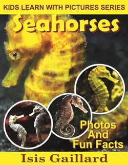 Seahorses Photos and Fun Facts for Kids - Kids Learn With Pictures, #74