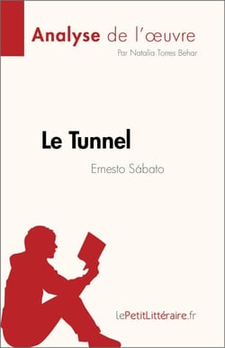 Le Tunnel de Ernesto Sábato (Analyse de l'œuvre) - Résumé complet et analyse détaillée de l'œuvre