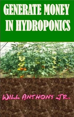 Generate Money In Hydroponics
