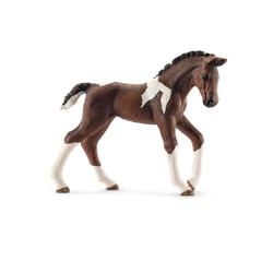 Figurine Poulain Trakehnen - Horse club
