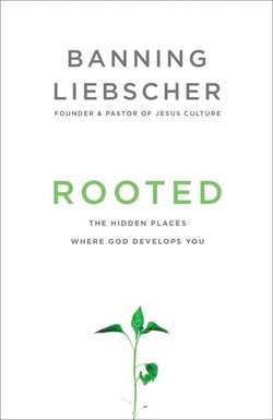 Rooted - The Hidden Places Where God Develops You