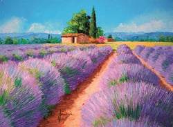 Clementoni 500 pièces - Lavender scent