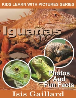 Iguanas Photos and Fun Facts for Kids - Kids Learn With Pictures, #50