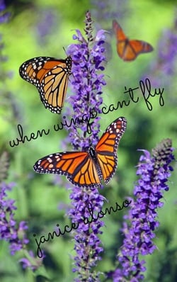 When Wings Can't Fly - Devotionals, #31