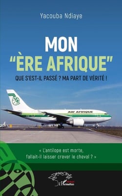 Mon "ère Afrique" - Que s'est-il passé ? - Ma part de vérité !