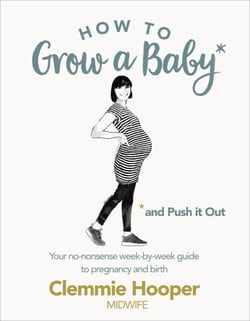 How to Grow a Baby and Push It Out - Your No-Nonsense Guide To Pregnancy And Birth