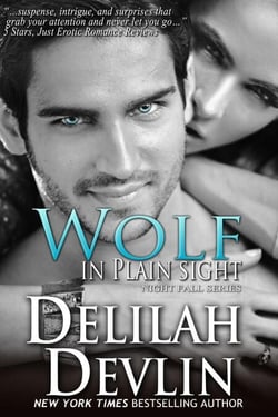 Wolf in Plain Sight - Night Fall Series, #4