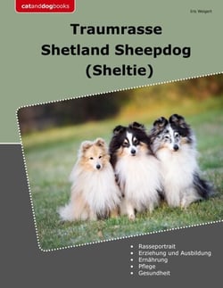 Traumrasse Shetland Sheepdog - Sheltie