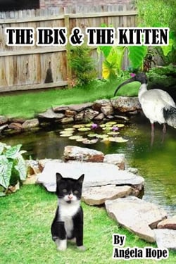 The Ibis &amp; the Kitten