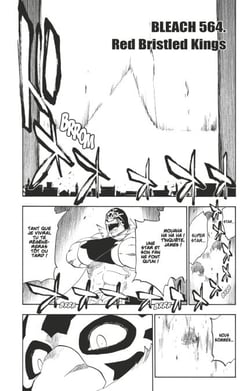 Bleach - T63 - Chapitre 564 - RED BRISTLED KINGS