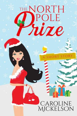 The North Pole Prize - A Christmas Central Romantic Comedy, #4