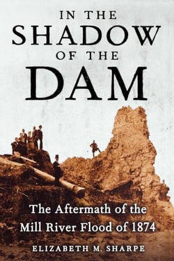 In the Shadow of the Dam - The Aftermath of the Mill River Flood of 1874