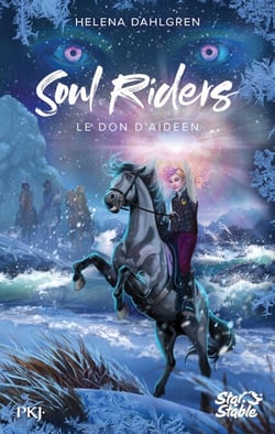 Soul Riders, Cycle II - tome 03 : Le don d'Aideen