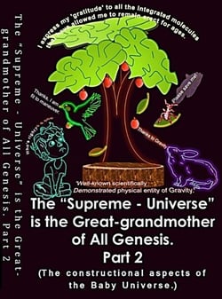 The “Supreme – Universe” is the Great-grandmother of All Genesis, Part 2. The constructional aspects of the Baby Universe. - 6, #2