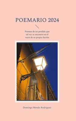 Poemario 2024 - Poemas de un perdido que tal vez se encontró en el vacío de su propia ilusión