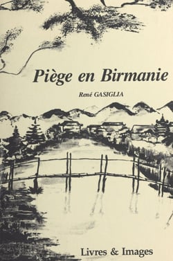 Piège en Birmanie - Roman