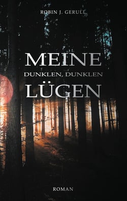 Meine dunklen, dunklen Lügen - Roman