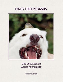 Birdy &amp; Pegasus - Eine unglaublich wahre Geschichte