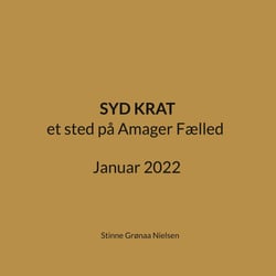 Syd Krat - et sted på Amager Fælled Januar 2022