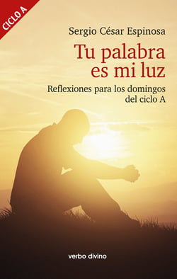 Tu palabra es mi luz - Reflexiones para los domingos del ciclo A