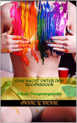 Eine Nacht unter dem Regenbogen - Erotische Transgendergeschichte