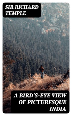 A Bird's-Eye View of Picturesque India