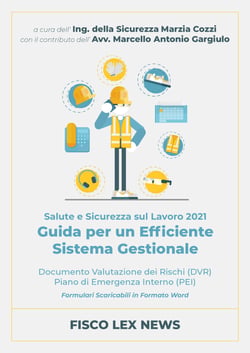 DVR - PEI  Redazione del Documento Valutazione dei Rischi in formato digitale - Guida per un efficiente sistema gestionale