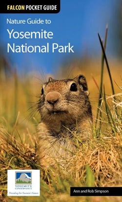 Nature Guide to Yosemite National Park