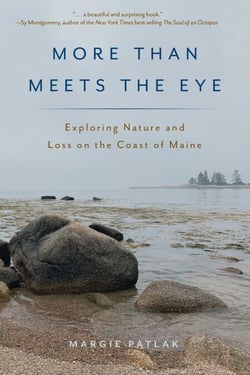 More Than Meets the Eye - Exploring Nature and Loss on the Coast of Maine