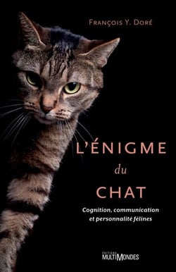 L'énigme du chat