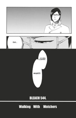 Bleach - T61 - Chapitre 544 - WALKING WITH WATCHERS