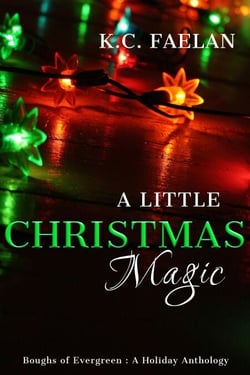 A Little Christmas Magic